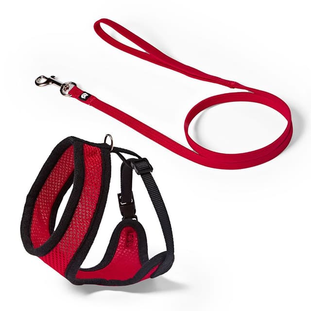 Red Harness