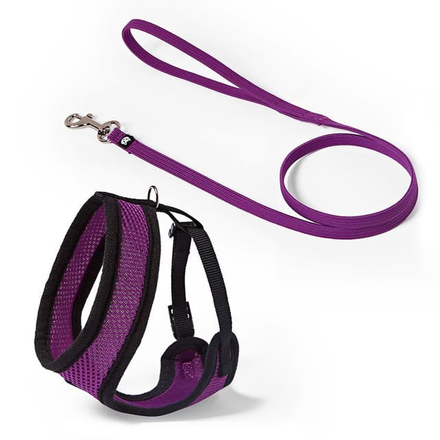 Purple Harness